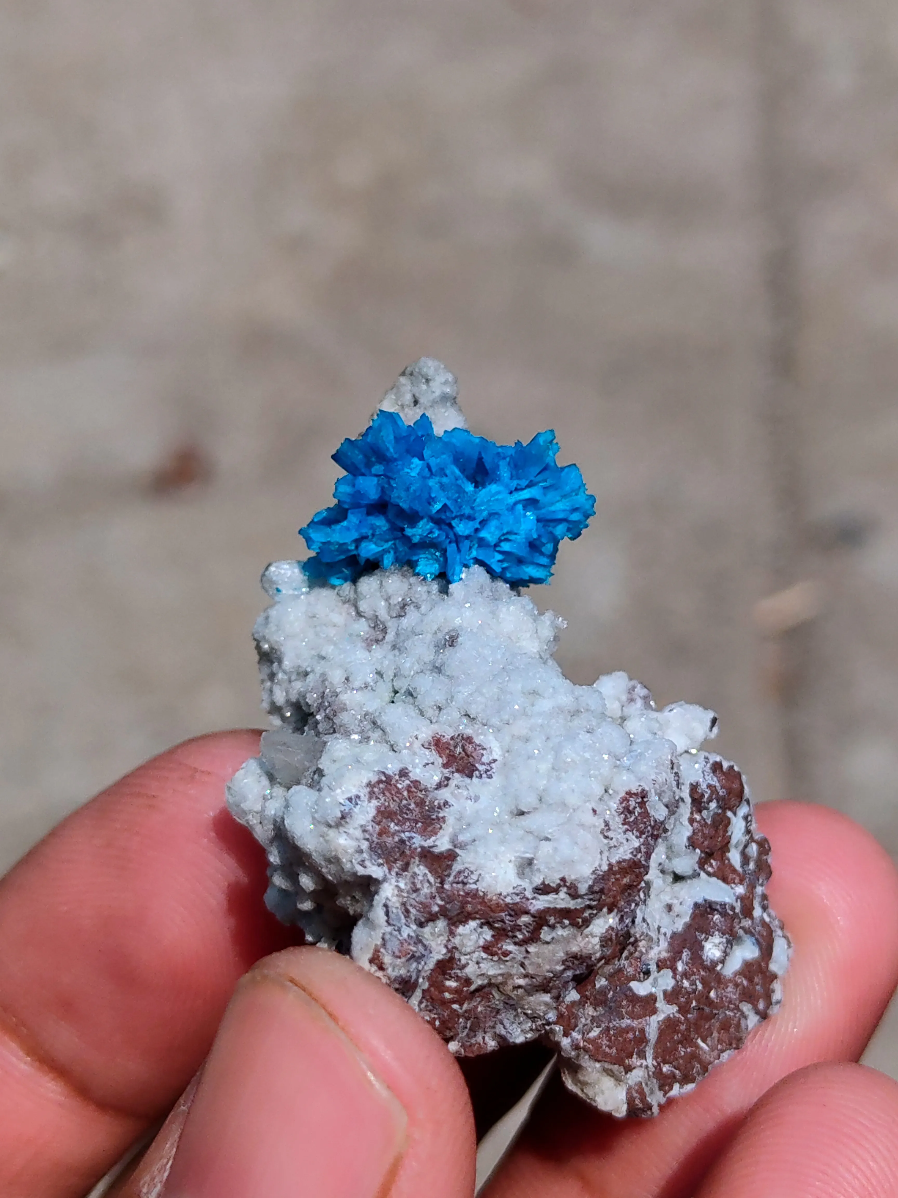 Pentagonite Flower on Heulandite matrix - image 5