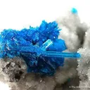 Pentagonite on Cavansite (Both Dimorphs on One Specimen!) - image 1
