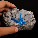 Pentagonite on Chalcedony Rare Find Natural Mineral Specimen - image 4