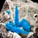 Pentagonite with Cavansite - image 2
