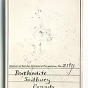 Pentlandite - image 3