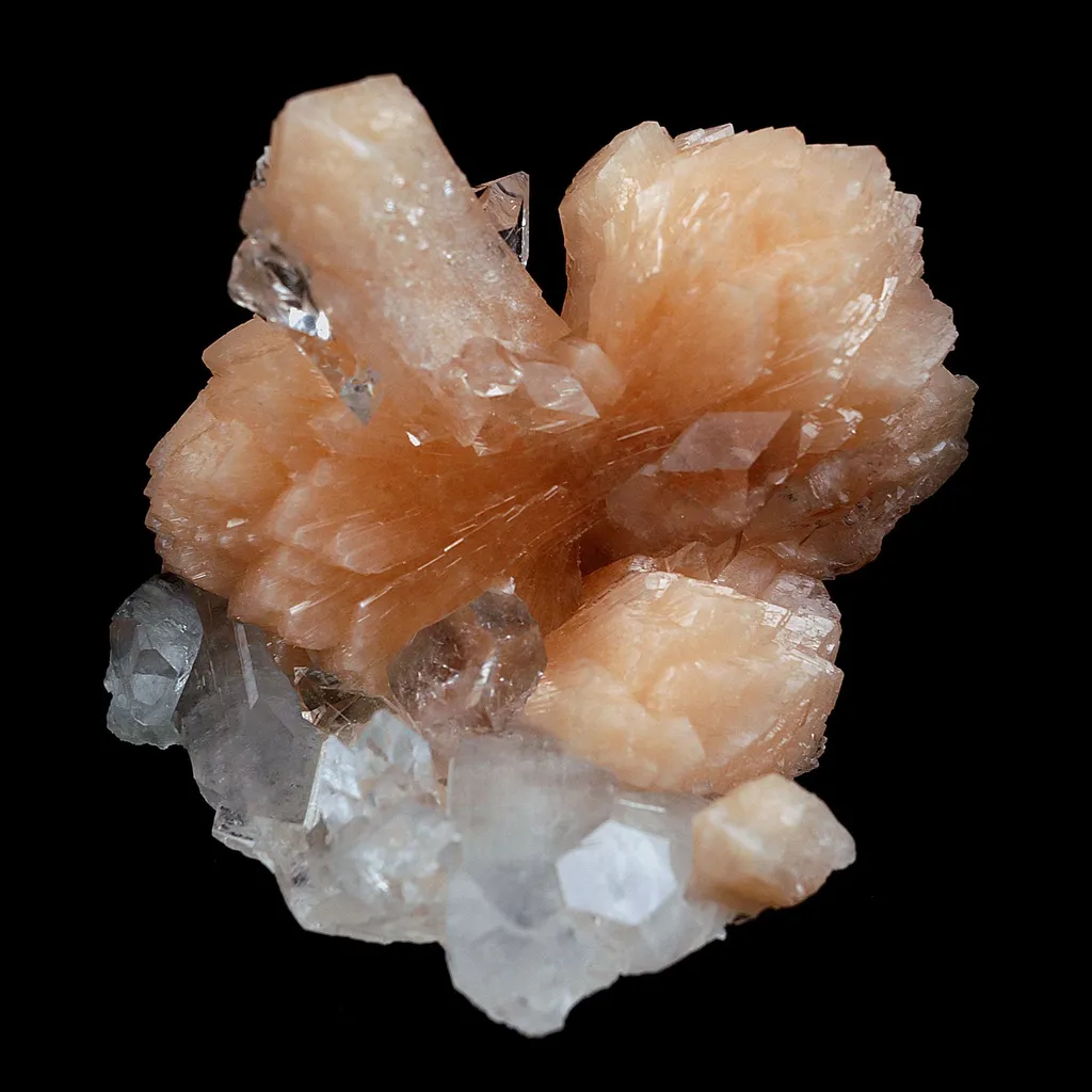 Perfect Bow Stilbite with Apophyllite Natural Mineral Specimen image