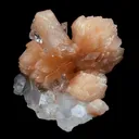 Perfect Bow Stilbite with Apophyllite Natural Mineral Specimen - image 1