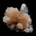 Perfect Bow Stilbite with Apophyllite Natural Mineral Specimen - image 6