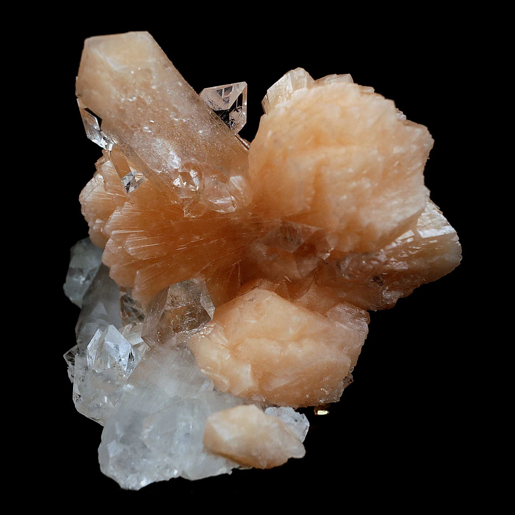 Perfect Bow Stilbite with Apophyllite Natural Mineral Specimen - image 4
