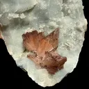 Perfect Heulandite on Blue Chalcedony  – Rare Natural Indian Zeolite Mineral Specimen from Maharashtra DKT73 - image 6