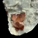 Perfect Heulandite on Blue Chalcedony  – Rare Natural Indian Zeolite Mineral Specimen from Maharashtra DKT73 - image 7