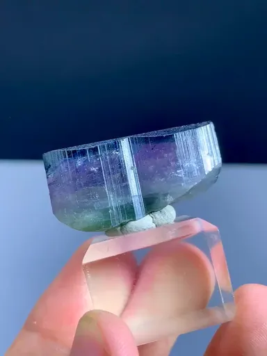 specimen video
