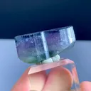 specimen video