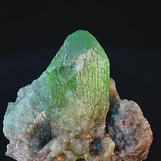 specimen video