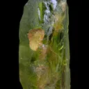 Peridot - image 7
