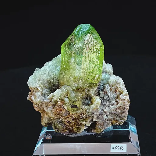 specimen video