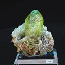 specimen video
