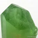 Peridot - image 3