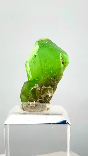 specimen video