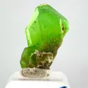 specimen video