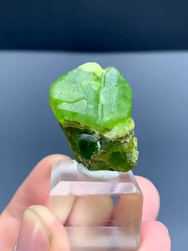 specimen video