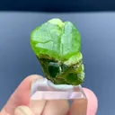 specimen video
