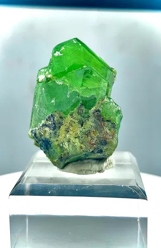 specimen video