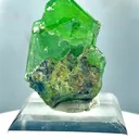 specimen video