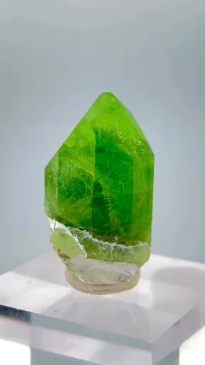 specimen video