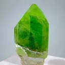 specimen video
