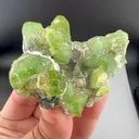 Peridot from Pakistan - image 6