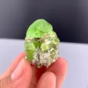 Peridot from Pakistan - image 6