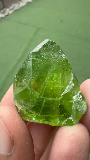 specimen video