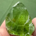 specimen video
