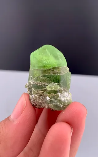 specimen video