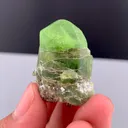 specimen video
