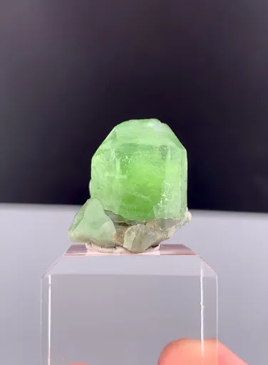 specimen video