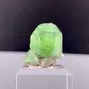 specimen video