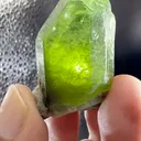 specimen video
