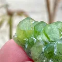 Peridot from Pakistan - image 1