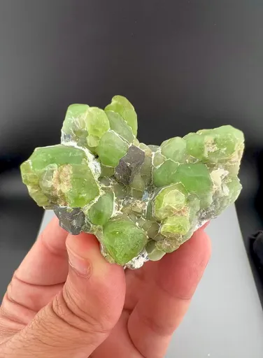 specimen video