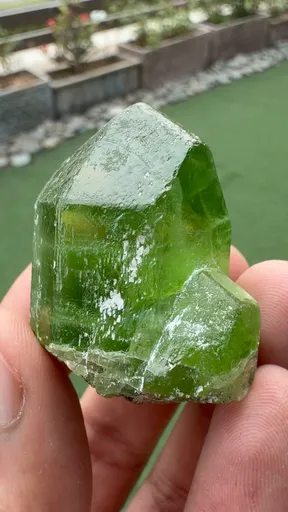 specimen video