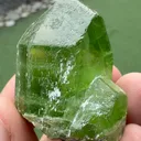 specimen video