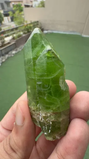specimen video