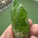 specimen video