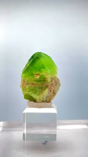 specimen video