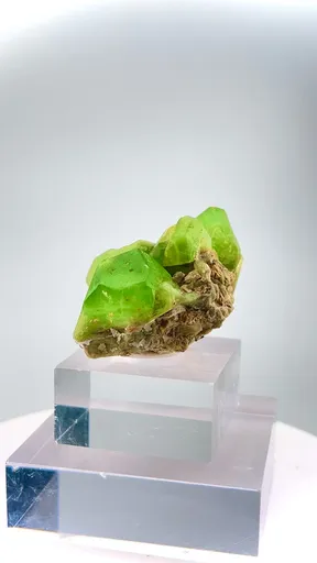 specimen video