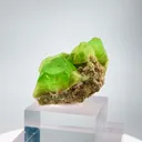 specimen video