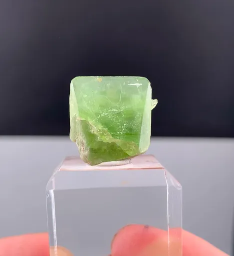 specimen video