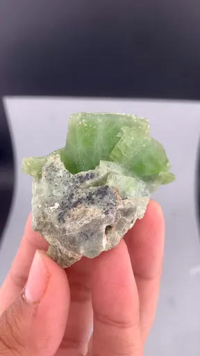 specimen video