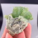 specimen video
