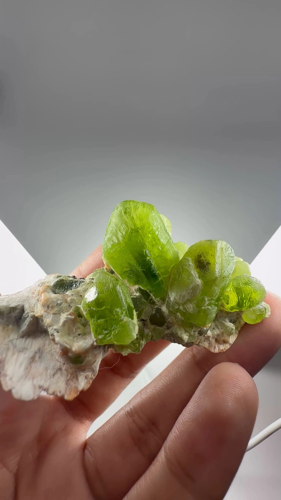 specimen video