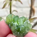 Peridot from Pakistan - image 4