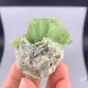 Peridot from Pakistan - image 6